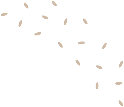 h4-section-shape2